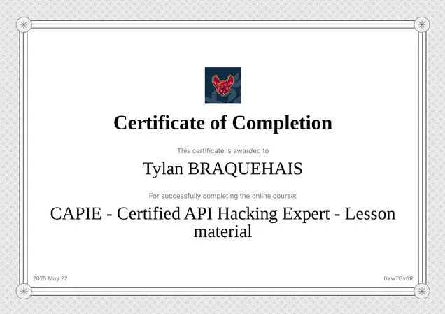 Certified API Hacking Expert certification